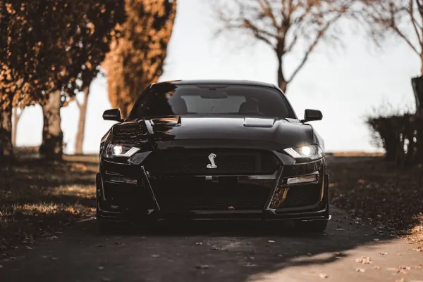 OG Casino Android/iOS aplikacija